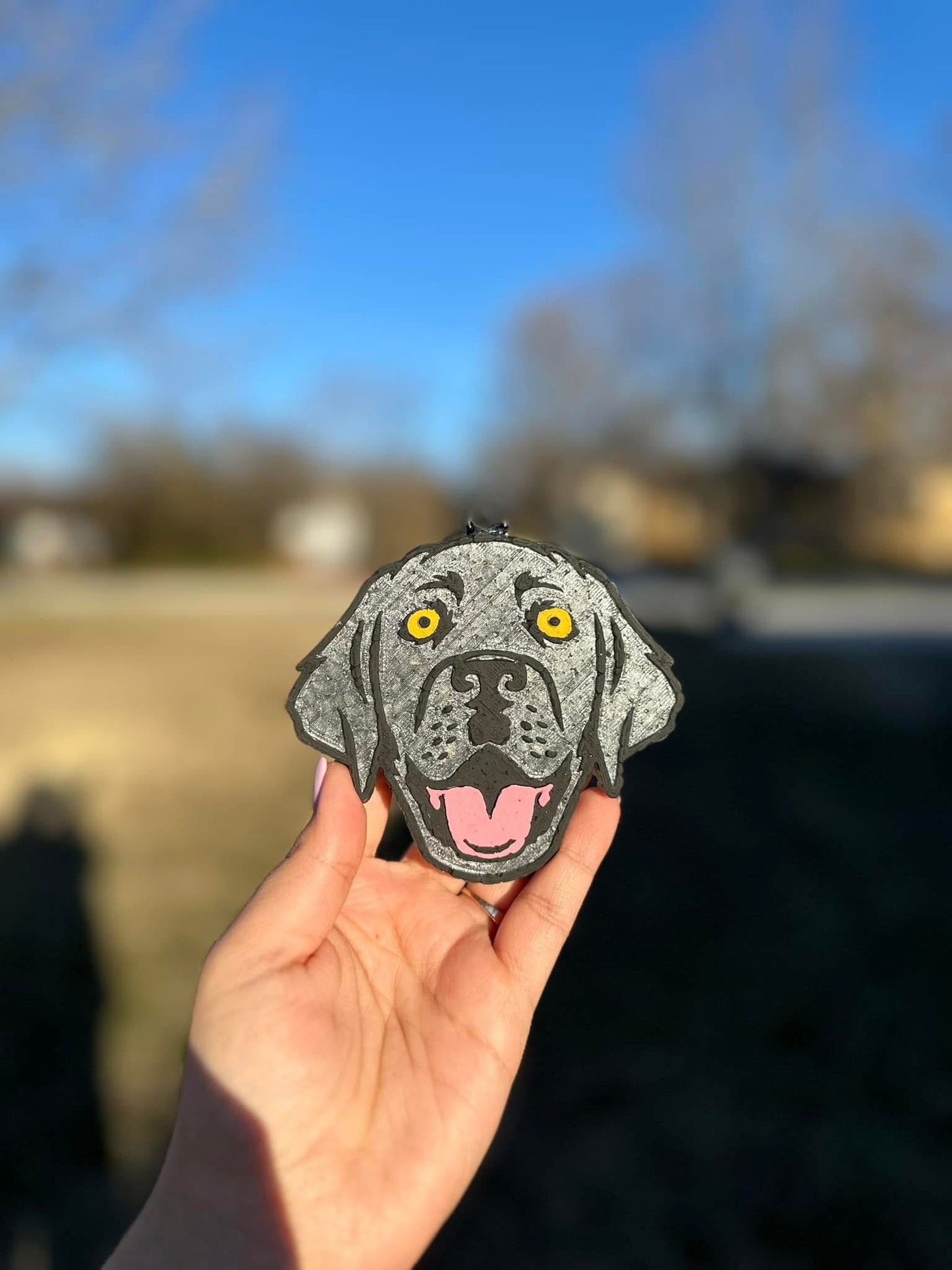 Lab Car Freshie